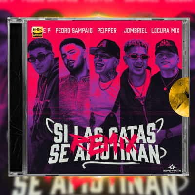 Peipper - Si Las Gatas Se Amotinan (feat. DobleP) (Remix)