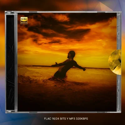 Ryan Castro - BOTAPAFO